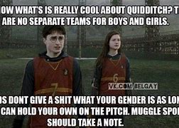 Image result for Harry Potter Quidditch Memes