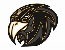Image result for Viking Hawk Logo