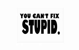 Image result for You Can't Fix Stupid Humor