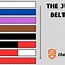 Image result for Jiu Jitsu Belt System
