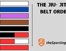 Image result for Jiu Jitsu Belt Order