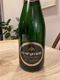 Image result for Lo Sparviere di Gussalli Beretta Franciacorta Brut Millesimato