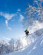 Image result for japanese skiing resort