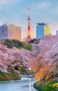 Image result for Japan City Day