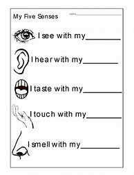 Image result for Kindergarten Science Worksheets Five Senses