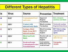 Image result for Halogen Hepatitis Types