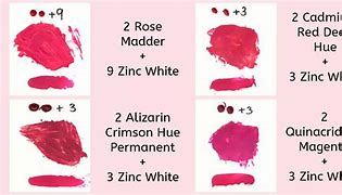 Image result for What Makes Hot Pink