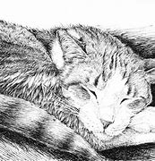 Image result for Cat Art Prints