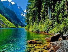 Image result for Background Wallpaper for Computer Free