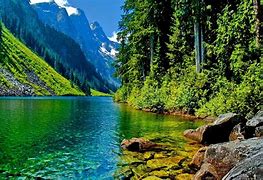 Image result for HD Pic for PC Wallpaper Download