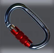 Image result for Oval Carabiner