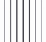 Image result for Jail Cell Bars PNG