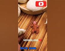 Image result for Momolina YouTube