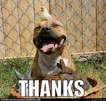Image result for Thank You Cute Dog Meme