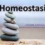 Image result for homeoatasis