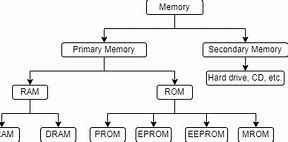 Image result for Evolution of Ram