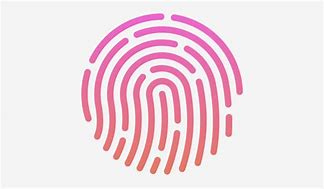 Image result for Touch ID Eschematic