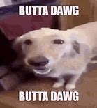 Image result for Dogwifahat Twitter Meme