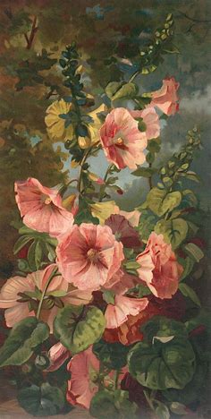 6 Hollyhock Images - Beautiful! - The Graphics Fairy