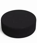 Image result for Hockey Puck