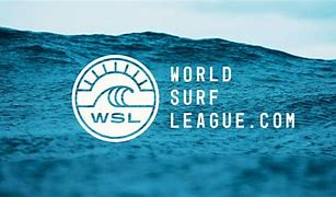 Image result for World Surf League