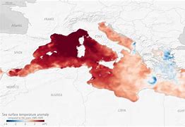 Image result for Mediterranean Sea Temperature Map