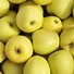 Image result for Golden Delicious Apple Clip Art
