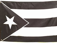 Image result for Black and White Puerto Rican Flag