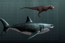 Image result for 60-Foot Shark