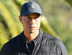 Image result for Who Is Tiger Woods