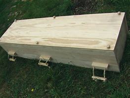 Image result for Pine Box Coffin Plans