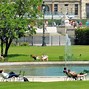 Image result for Jardin Des Tuileries