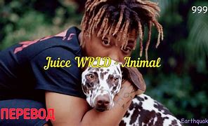 Image result for Juice Wrld Animal