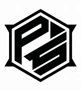 Image result for PS Logo Custom