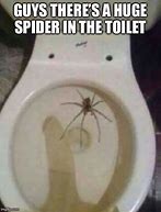 Image result for Spider Toilet Meme