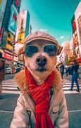 Image result for Dog Taking Selfie Meme