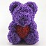 Image result for CBS Ghost Flower Bear Hug