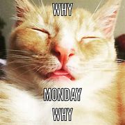 Image result for monday work memes