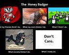 Image result for Animal What I Think I Do Memes