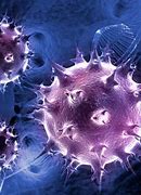 Image result for infecciiso