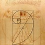 Image result for Golden Ratio Shell