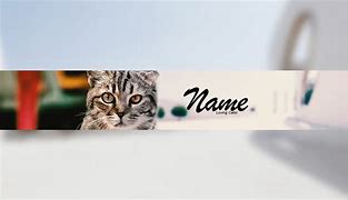 Image result for Business Cat Template