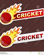 Image result for Cricket Banner