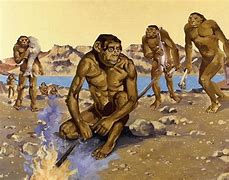 Image result for 4 Million Years Ago Human