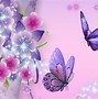 Image result for Butterfly and Fairy Wallpaper