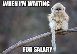 Image result for Salary Memes