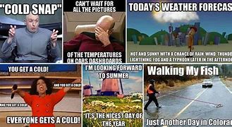 Image result for Under the Weather Meme