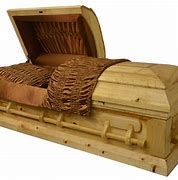 Image result for Green Desk Coffin