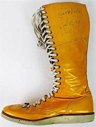 Image result for Hulk Hogan Wrestling Boots