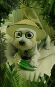 Image result for Funny Dogs On Snapchat Filters